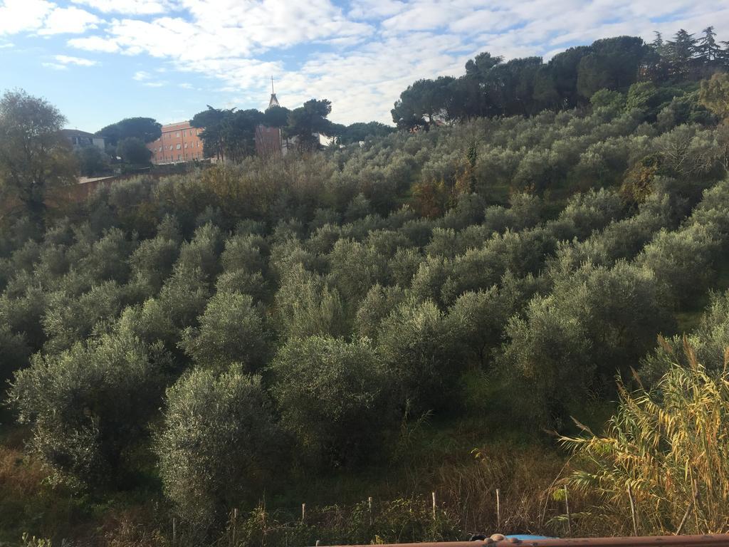 Appartamento Romamor *
